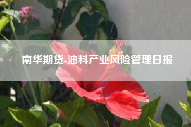 南华期货-油料产业风险管理日报