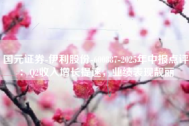 国元证券-伊利股份-600887-2025年中报点评：Q2收入增长提速，业绩表现靓丽