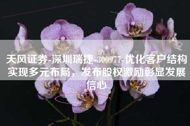 天风证券-深圳瑞捷-300977-优化客户结构实现多元布局，发布股权激励彰显发展信心