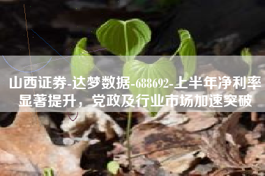 山西证券-达梦数据-688692-上半年净利率显著提升，党政及行业市场加速突破