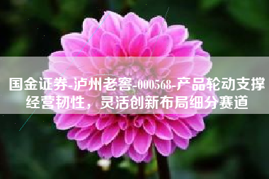 国金证券-泸州老窖-000568-产品轮动支撑经营韧性，灵活创新布局细分赛道