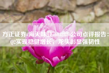 方正证券-海天味业-603288-公司点评报告：Q2实现稳健增长，龙头彰显强韧性