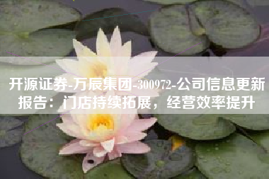 开源证券-万辰集团-300972-公司信息更新报告：门店持续拓展，经营效率提升