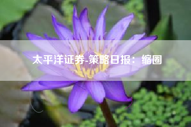 太平洋证券-策略日报：缩圈