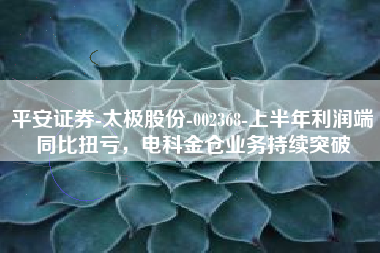 平安证券-太极股份-002368-上半年利润端同比扭亏，电科金仓业务持续突破