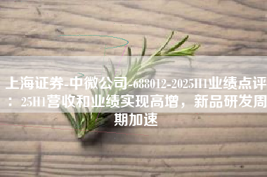 上海证券-中微公司-688012-2025H1业绩点评：25H1营收和业绩实现高增，新品研发周期加速