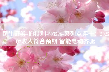 民生证券-伯特利-603596-系列点评十：2025Q2收入符合预期 智能电动齐驱
