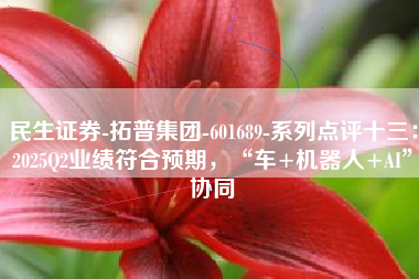 民生证券-拓普集团-601689-系列点评十三：2025Q2业绩符合预期，“车+机器人+AI”协同
