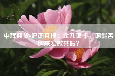 中辉期货-沪铜月报：金九银十，铜能否迎来宏微共振？