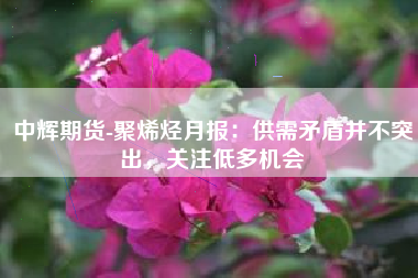 中辉期货-聚烯烃月报：供需矛盾并不突出，关注低多机会