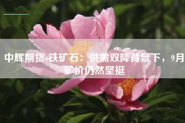 中辉期货-铁矿石：供需双降背景下，9月矿价仍然坚挺